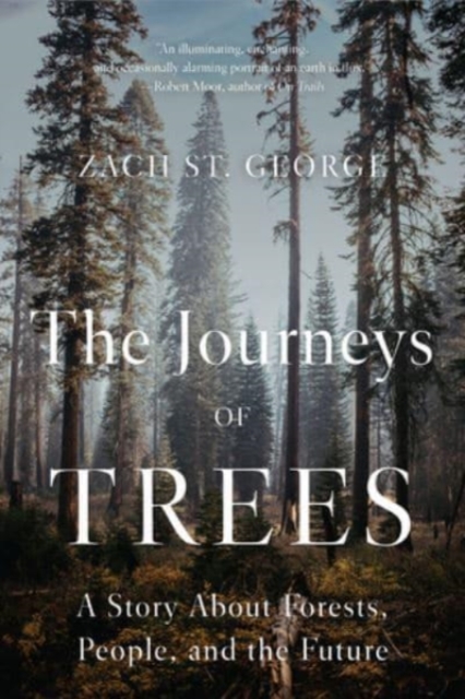 The Journeys of Trees : A Story about Forests, People, and the Future, Paperback / softback Book