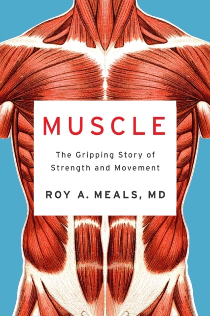 Muscle : The Gripping Story of Strength and Movement, Hardback Book