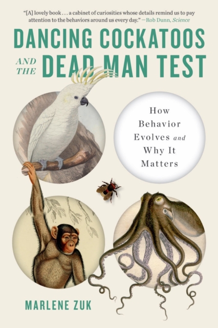 Dancing Cockatoos and the Dead Man Test : How Behavior Evolves and Why It Matters, Paperback / softback Book