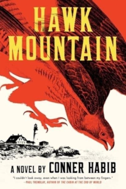 Hawk Mountain - A Novel,  Book