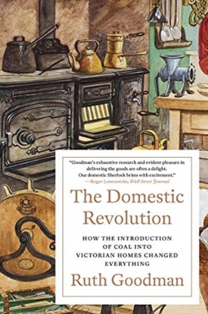 The Domestic Revolution - How the Introduction of Coal into Victorian Homes Changed Everything,  Book