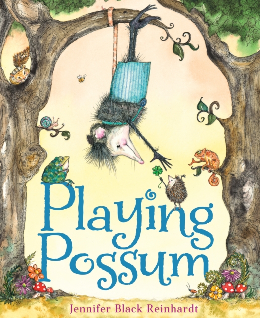 Playing Possum, Hardback Book