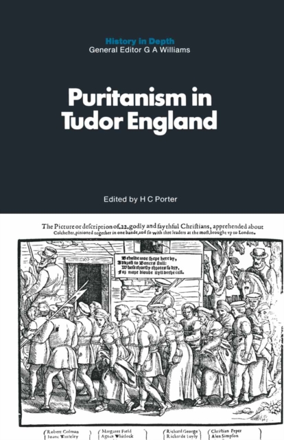 Puritanism in Tudor England, PDF eBook