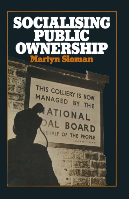 Socialising Public Ownership, PDF eBook