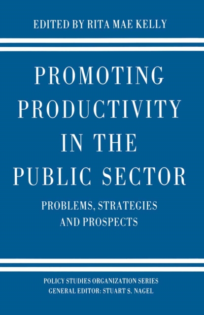 Promoting Productivity in the Public Sector, PDF eBook