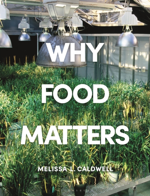 Why Food Matters : Critical Debates in Food Studies, Paperback / softback Book