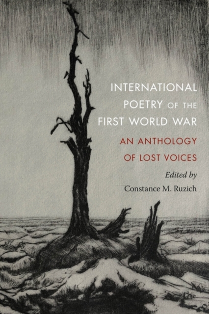 International Poetry of the First World War : An Anthology of Lost Voices, EPUB eBook