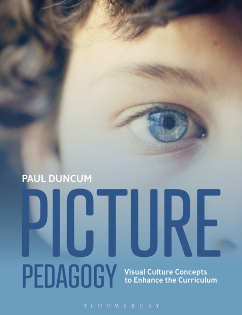 Picture Pedagogy : Visual Culture Concepts to Enhance the Curriculum, Paperback / softback Book