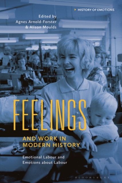 Feelings and Work in Modern History : Emotional Labour and Emotions about Labour, EPUB eBook