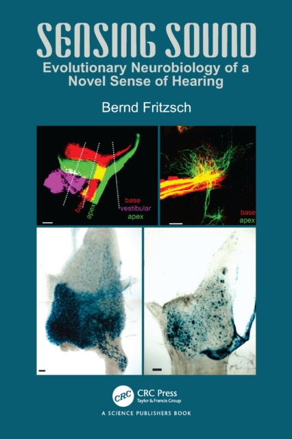 Sensing Sound : Evolutionary Neurobiology of a Novel Sense of Hearing, PDF eBook
