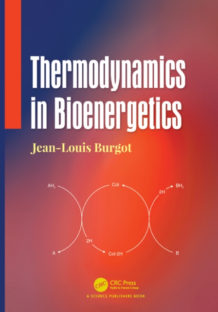 Thermodynamics in Bioenergetics, PDF eBook
