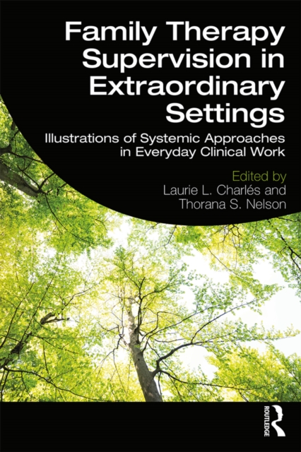 Family Therapy Supervision in Extraordinary Settings : Illustrations of Systemic Approaches in Everyday Clinical Work, PDF eBook