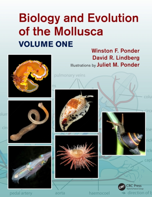 Biology and Evolution of the Mollusca, Volume 1, PDF eBook