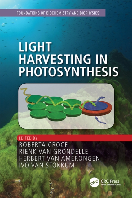 Light Harvesting in Photosynthesis, EPUB eBook