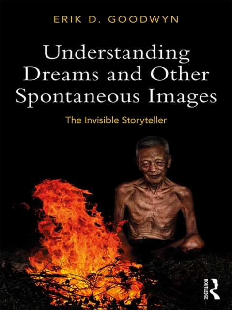 Understanding Dreams and Other Spontaneous Images : The Invisible Storyteller, EPUB eBook