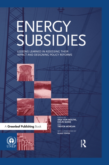 Energy Subsidies : Lessons Learned in Assessing their Impact and Designing Policy Reforms, EPUB eBook