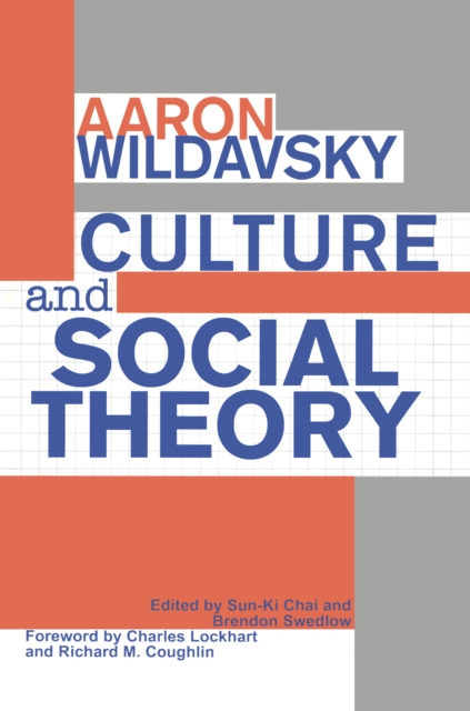 Culture and Social Theory, EPUB eBook
