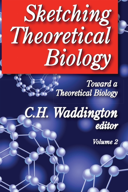 Sketching Theoretical Biology : Toward a Theoretical Biology, Volume 2, PDF eBook