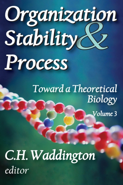 Organization Stability and Process : Volume 3, PDF eBook