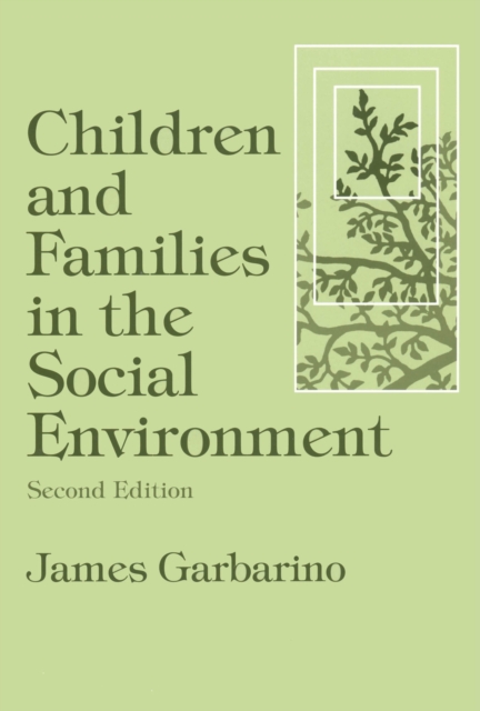 Children and Families in the Social Environment : Modern Applications of Social Work, PDF eBook