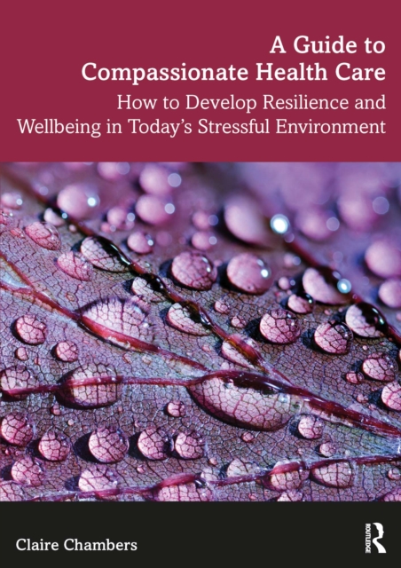 A Guide to Compassionate Healthcare : How to Develop Resilience and Wellbeing in Today's Stressful Environment, EPUB eBook