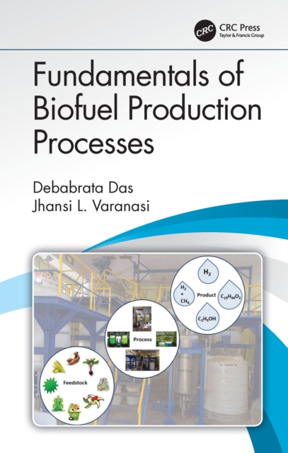 Fundamentals of Biofuel Production Processes, EPUB eBook