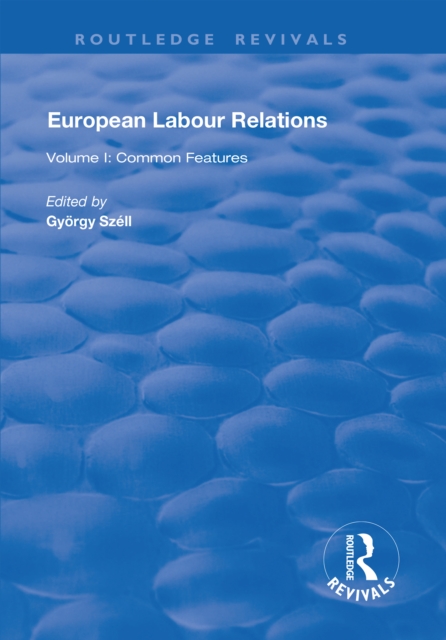 European Labour Relations : Volume I - Common Features, PDF eBook