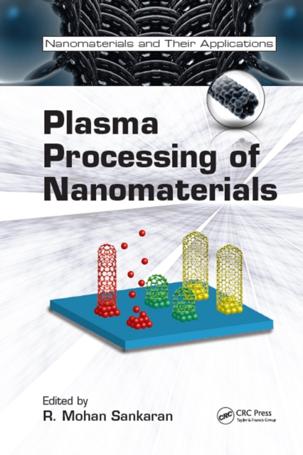 Plasma Processing of Nanomaterials, EPUB eBook