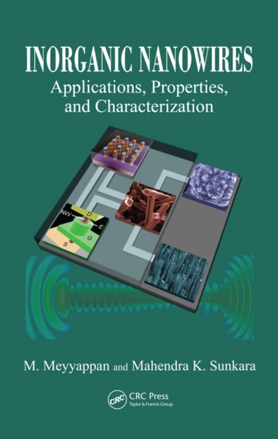Inorganic Nanowires : Applications, Properties, and Characterization, EPUB eBook