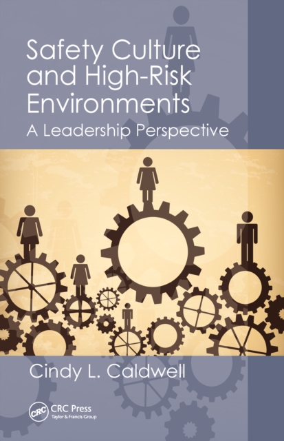 Safety Culture and High-Risk Environments : A Leadership Perspective, EPUB eBook