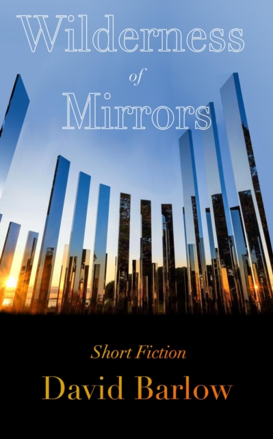 Wilderness of Mirrors, EPUB eBook