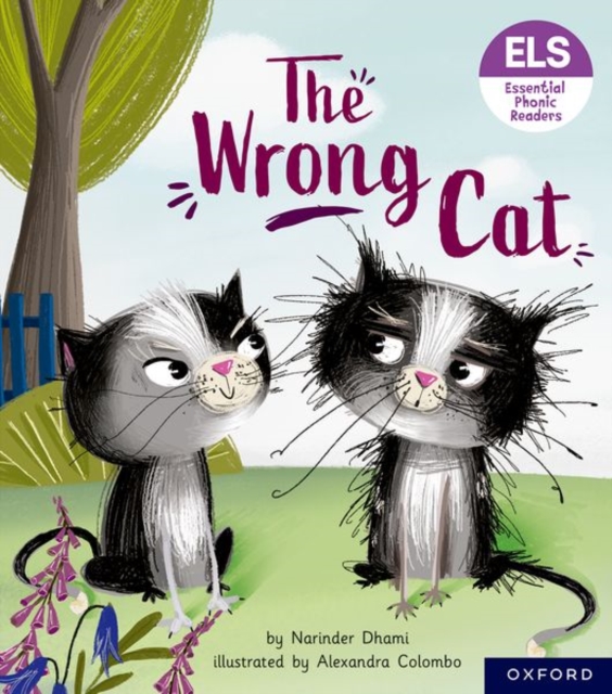 Essential Letters and Sounds: Essential Phonic Readers: Oxford Reading Level 6: The Wrong Cat, Paperback / softback Book
