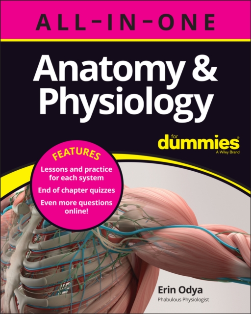 Anatomy & Physiology All-in-One For Dummies (+ Chapter Quizzes Online), Paperback / softback Book