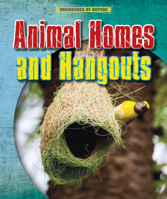 Animal Homes and Hang-outs, Paperback / softback Book