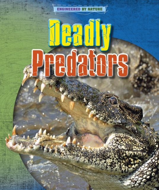 Deadly Predators, Paperback / softback Book