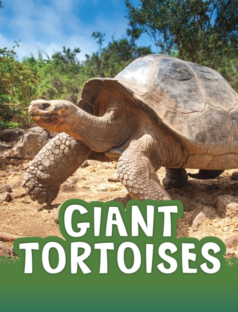 Giant Tortoises, Paperback / softback Book