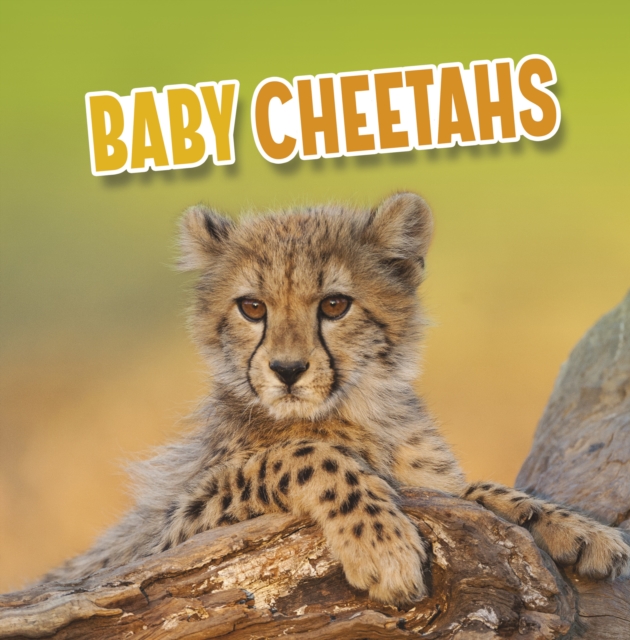 Baby Cheetahs, Paperback / softback Book