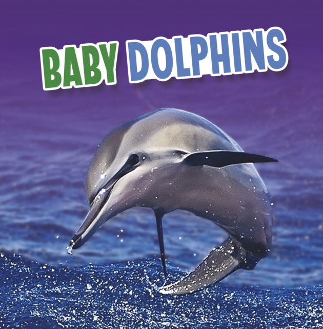 Baby Dolphins, Paperback / softback Book