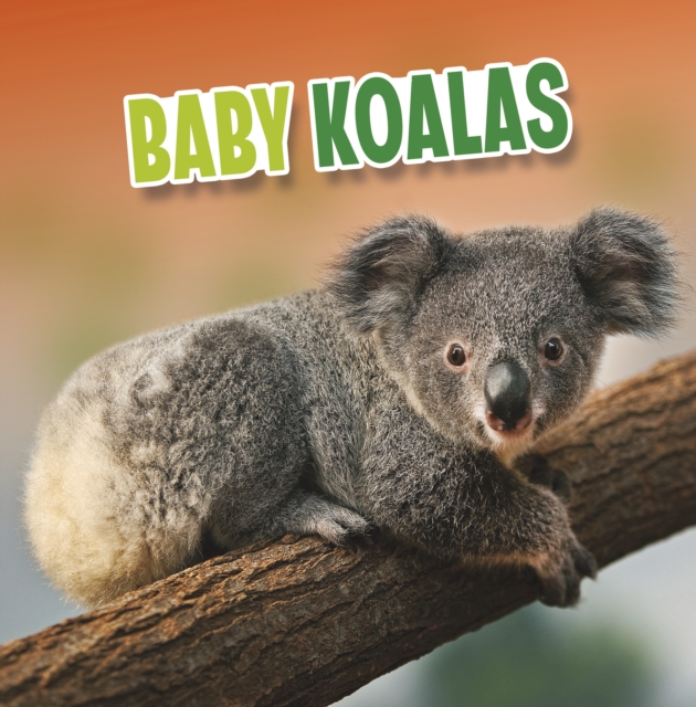 Baby Koalas, Hardback Book