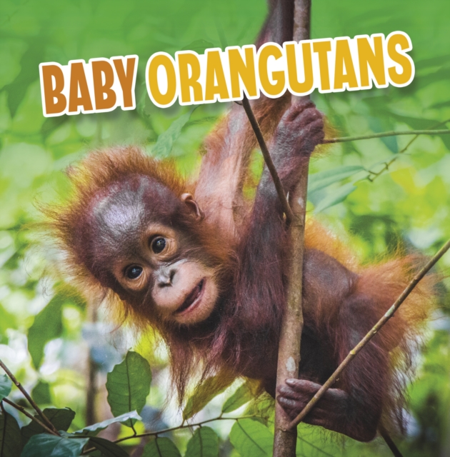 Baby Orangutans, Hardback Book