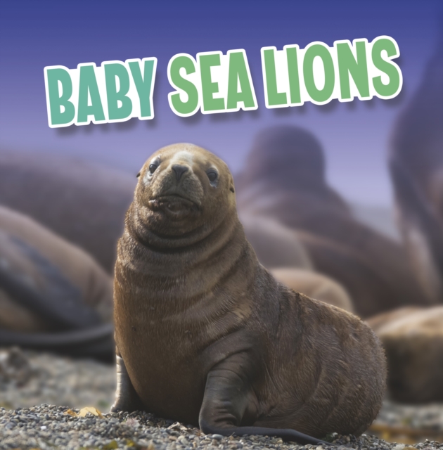 Baby Sea Lions, Paperback / softback Book