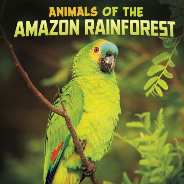 Animals of the Amazon Rainforest, Hardback Book