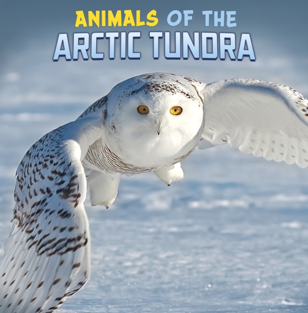 Animals of the Arctic Tundra, Paperback / softback Book