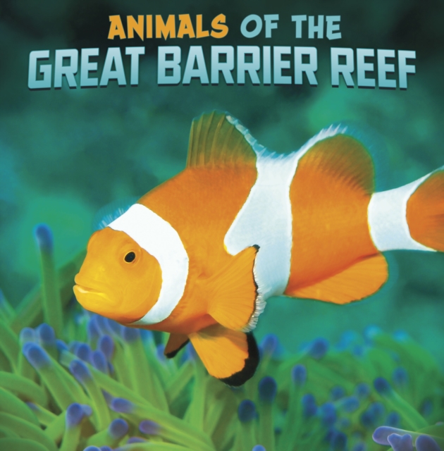 Animals of the Great Barrier Reef, Paperback / softback Book