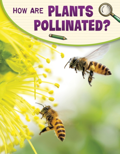 How Are Plants Pollinated?, Paperback / softback Book