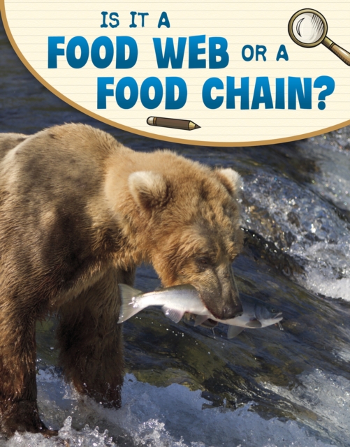Is It a Food Web or a Food Chain?, Hardback Book