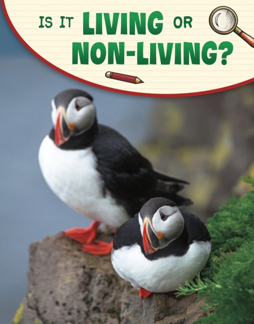 Is It Living or Non-living?, Hardback Book