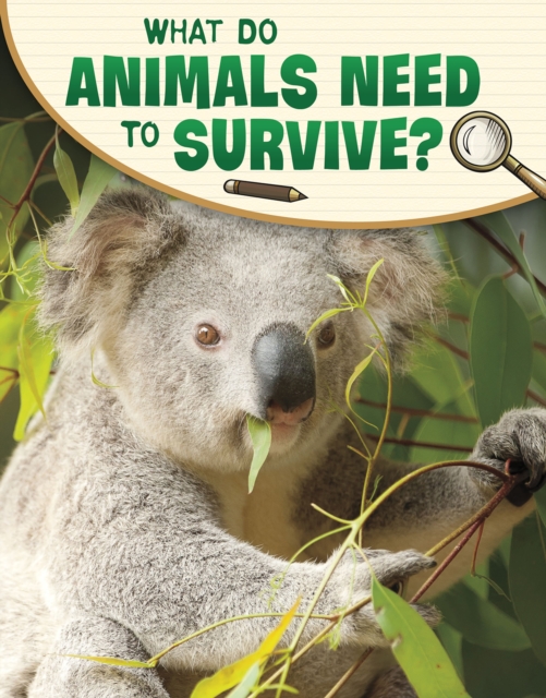 What Do Animals Need to Survive?, Hardback Book