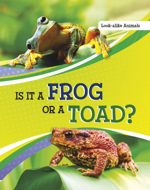 Is It a Frog or a Toad?, Paperback / softback Book