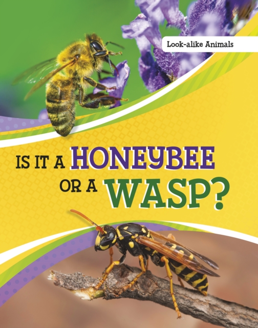 Is It a Honeybee or a Wasp?, Hardback Book